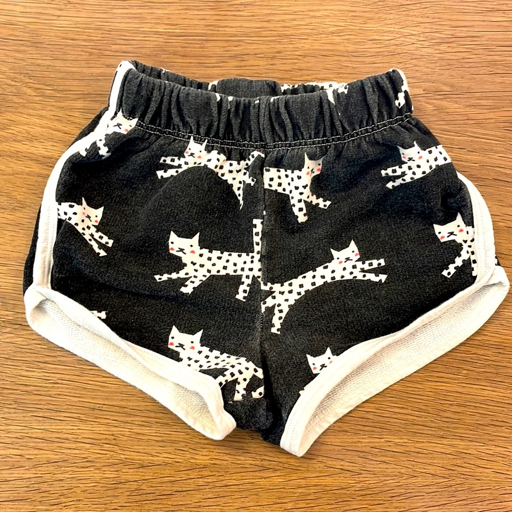 Cat Print Shorts